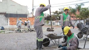 Manutenção recolhe 482 toneladas de resíduos descartados irregularmente