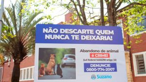 Ações combatem abandono de animais e auxilia mais de 500 pets neste ano