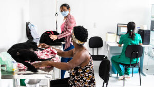 Cidades mantêm clínicas veterinárias, mas miram hospitais para atender Pets
