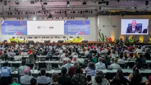 Alto Tietê projeta avanços e cobra financiamento climático após COP30