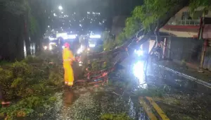 Ciclone deixa 2 milhões de clientes sem energia em São Paulo