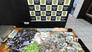 GCM realiza 339 prisões em flagrante e apreende 172 quilos de entorpecentes em 2025