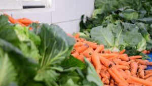 Desenvolvimento Econômico realiza 1º Encontro do PMAA na Vila Ipelândia