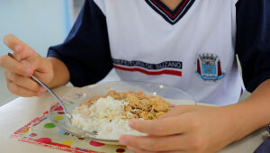 Educação registra mais alunos no ensino fundamental e mais refeições em 2025