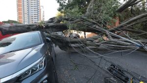 Cinco dias após ciclone, 30 mil clientes estão sem energia em SP