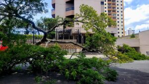 Suzanenses calculam 29 horas sem luz e até uma semana sem água 