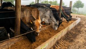 Região tem 5 Cadeias Produtivas em edital do SP Produz e pode receber até R$ 3 mi em investimentos