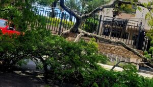 Moradores do Jardim Dona Benta ficam mais de 21 horas sem energia

