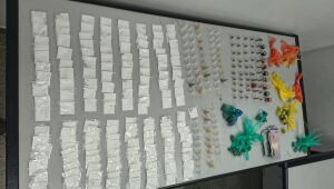 GCM prende homem por tráfico e localiza quase 400 porções de drogas em Suzano