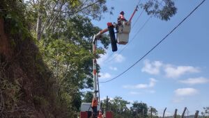 EDP realiza mutirão de podas e modernização da rede elétrica em Mogi das Cruzes
