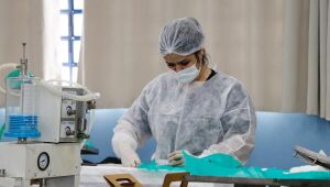 Mutirão de castração na região norte convoca tutores para atendimentos deste sábado