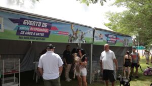 Projeto 'Baby, me Leva!' garante ado&ccedil;&atilde;o de 14 c&atilde;es e gatos em a&ccedil;&atilde;o no Parque Max Feffer