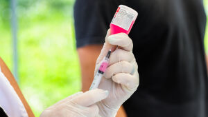 Ferraz mant&eacute;m postos fixos de vacina&ccedil;&atilde;o antirr&aacute;bica durante todo o ano