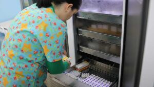 Secretaria de Sa&uacute;de aplica mais de 800 doses no Dia D de vacina&ccedil;&atilde;o

