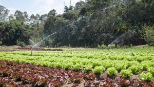 Condemat+ apresenta estudo sobre disponibilidade h&iacute;drica subterr&acirc;nea 