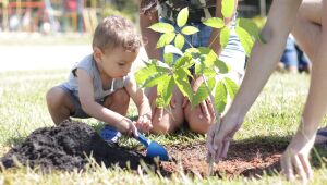 Meio Ambiente abre inscri&ccedil;&otilde;es para novo mutir&atilde;o de plantio de &aacute;rvores 