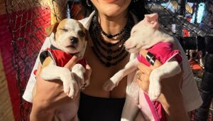 Delegada Regina Campanelli se torna embaixadora da ONG SOS Caramelo