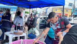 Poá promove campanha de vacinação antirrábica e adoção responsável de cães e gatos nesta sexta-feira