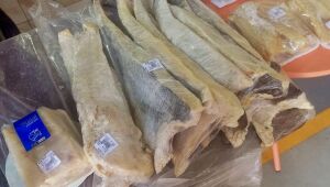 Procura por pratos t&iacute;picos cresce na Semana Santa e movimenta com&eacute;rcio