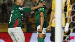 Palmeiras vence o Novorizontino e torna-se campe&atilde;o paulista pela 27&ordf; vez
