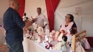 Com variedade de produtos, 'Festa do Artes&atilde;o' termina neste s&aacute;bado em Suzano