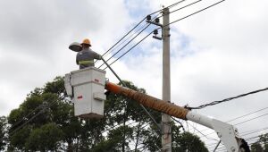 'Ilumina Suzano' ultrapassa mil atendimentos com trabalho realizado em janeiro e fevereiro
