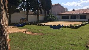 Instituto Thadeu Jos&eacute; de Moraes realiza oficinas de chocolates para 350 crian&ccedil;as