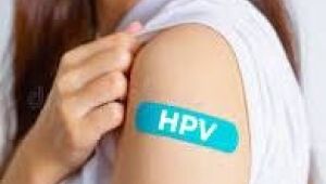 Data mundial alerta para riscos do HPV e refor&ccedil;a cuidados contra c&acirc;ncer do colo do &uacute;tero