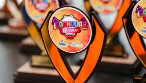 Pr&ecirc;mio Estandarte de Ouro &eacute; entregue &agrave;s escolas de samba 