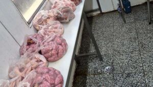 Procon de Ferraz descarta mais de 136 kg de produtos irregulares durante fiscaliza&ccedil;&atilde;o em mercado