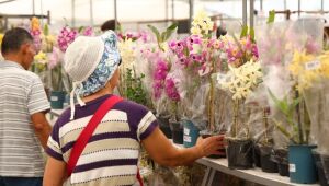 Alto Tiet&ecirc; recebe Parque Permanente de Flores e Plantas para fortalecer cadeia produtiva e turismo