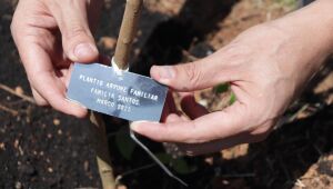 Suzano alcan&ccedil;a patamar de sustentabilidade com projetos voltados &agrave; melhoria da qualidade de vida