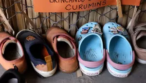 Censo: 17% de creches e pr&eacute;-escolas t&ecirc;m itens b&aacute;sicos para funcionar