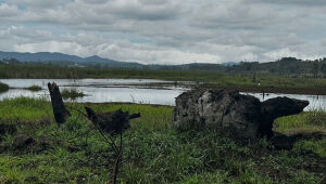 Sistema Produtor do Alto Tiet&ecirc; opera com 54,1% da capacidade 