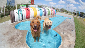PlayPet completa sete anos de funcionamento com oferta de lazer para c&atilde;es