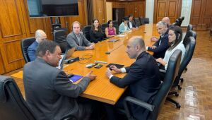 Damasio defende continuidade da isen&ccedil;&atilde;o do ICMS para hortifruti em reuni&atilde;o no Estado