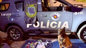 Pol&iacute;cia apreende 1,5 quilo de drogas em Ferraz