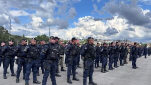 Opera&ccedil;&atilde;o Fronteiras Seguras mobiliza maior efetivo da regi&atilde;o e refor&ccedil;a seguran&ccedil;a nas divisas