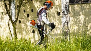 Prefeitura intensifica a&ccedil;&otilde;es de limpeza e revitaliza&ccedil;&atilde;o em escolas municipais