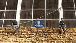 RJ: Opera&ccedil;&atilde;o na Mar&eacute; apreende recorde de 48 toneladas de drogas