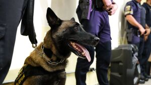 GCM de Ferraz leva projeto educativo do canil para escola e ensina disciplina e cidadania