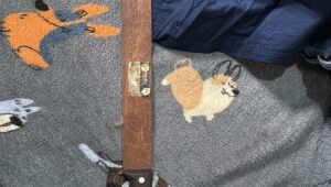 Mulher é presa no Maranhão suspeita de ter ligação com invasão em escola de Suzano