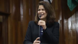 Projeto que cria programa de apoio e gera&ccedil;&atilde;o de renda para m&atilde;es at&iacute;picas &eacute; aprovado em Mogi