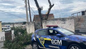 Guarda Ambiental de Itaquá apreende motosserra e aplica multa por corte irregular de árvore