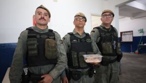 GPA apreende dez filhotes de lagartos de origem asiática