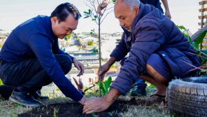 Meio Ambiente realiza plantio de manac&aacute;s no Jardim Graziela