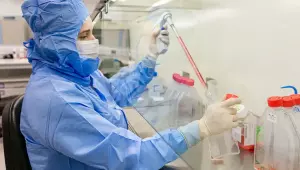 Estudo usa c&eacute;lulas-tronco contra complica&ccedil;&otilde;es do transplante de medula