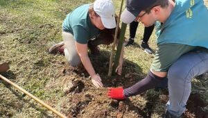 Po&aacute; realiza audi&ecirc;ncia para discutir planos de arboriza&ccedil;&atilde;o urbana e conserva&ccedil;&atilde;o da Mata Atl&acirc;ntica