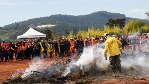 Defesa Civil participa de simulado de inc&ecirc;ndio no Parque Estadual do Juquery