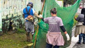 Serviços Urbanos reforçam zeladoria com ação de limpeza e roçagem na Vila Santa Margarida